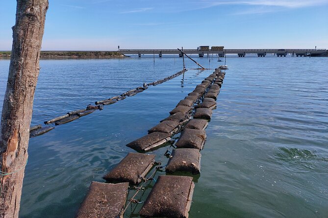 Chioggia : Aquaculture Secrets Tours of the Lagoon - Key points to know before booking