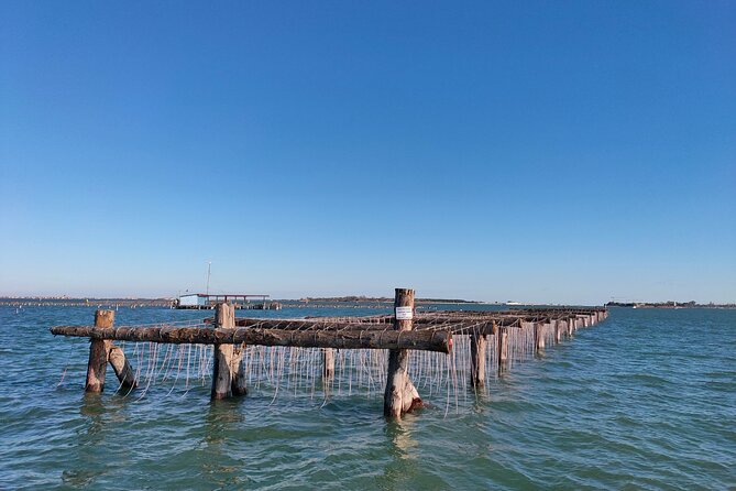 Chioggia : Aquaculture Secrets Tours of the Lagoon - Photo stops in the Venetian Lagoon