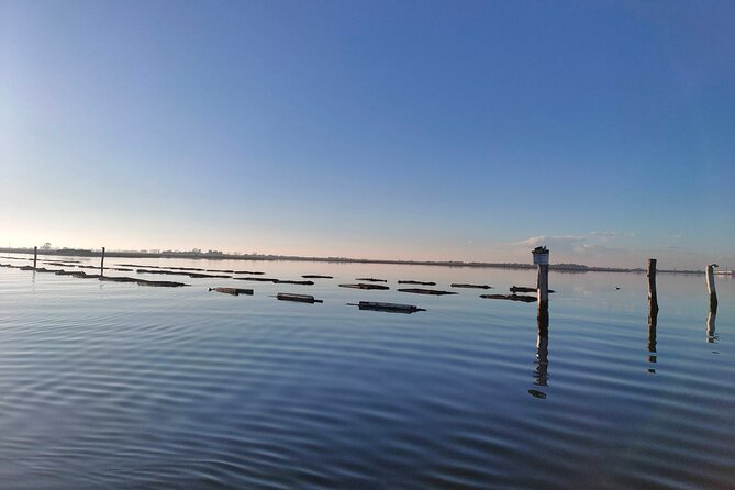 Chioggia : Aquaculture Secrets Tours of the Lagoon - What the $68.41 price covers
