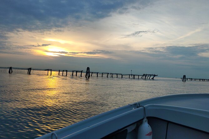 Chioggia : Aquaculture Secrets Tours of the Lagoon - Who will enjoy this most