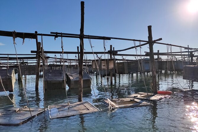 Chioggia : Aquaculture Secrets Tours of the Lagoon - A small boat makes the experience more personal