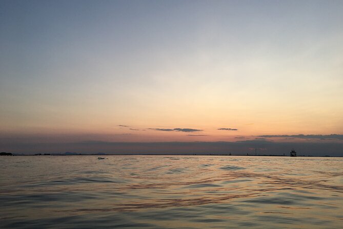 Chioggia: Sunset boat Tour in the Venetian Lagoon - Who Will Enjoy This Boat Ride Most