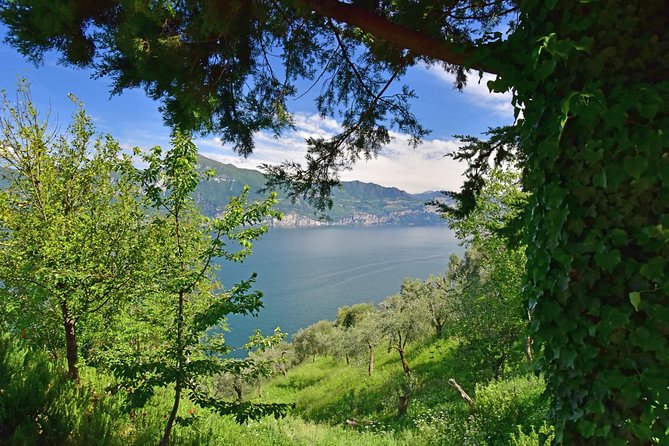 City Escape: Lake Garda Private Day Trip from Verona - Transport, timing, and comfort