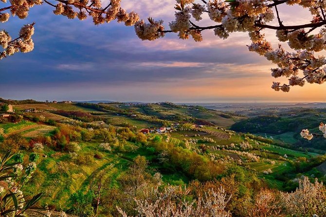 Collio: Cividale Del Friuli and Wine Tastings from Trieste - The Collio hills and their changing scenery