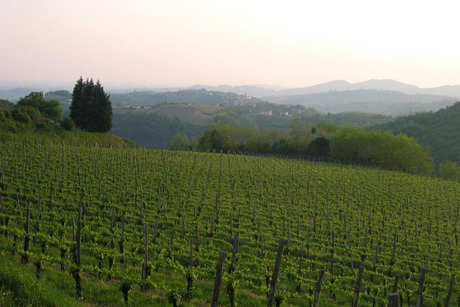 Collio: Cividale Del Friuli and Wine Tastings from Trieste - Booking, weather, and cancellation details