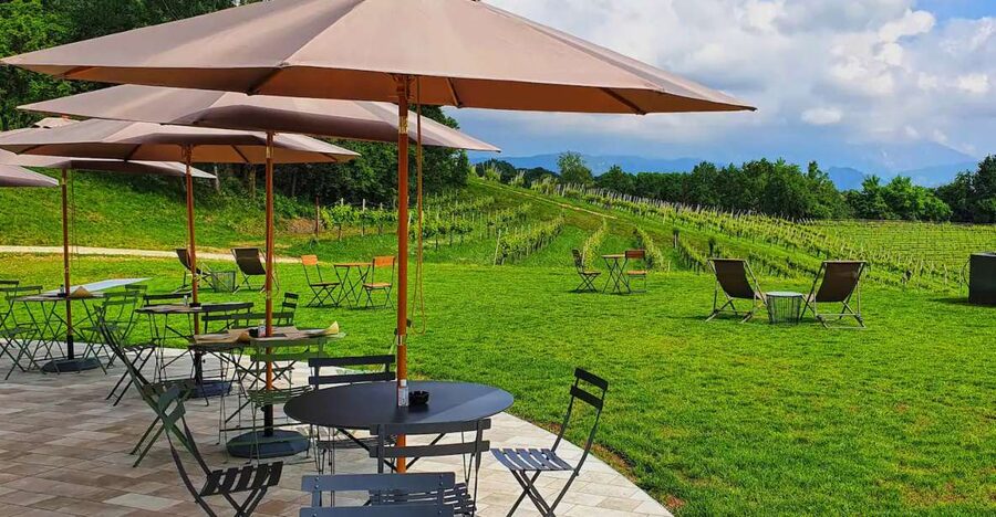 Conegliano: Prosecco Hills and Vineyards tour - Why the Prosecco Hills matter beyond the bottle