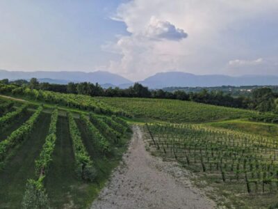 Prosecco Hills and Vineyards tour