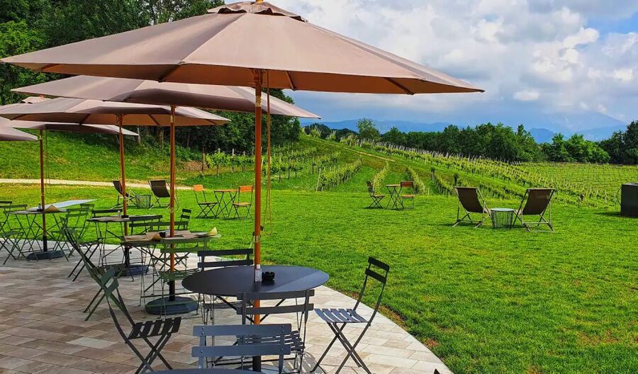 Conegliano: Prosecco Hills and Vineyards tour - The question of visiting the cellar