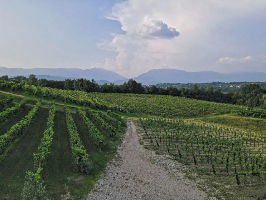 Conegliano: Prosecco Hills and Vineyards tour - Meeting the guide at the Mani Sagge estate