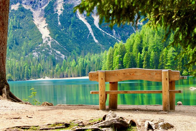 Cortina & Dolomites Small Group full Day tour from Venice - The driver can shape the whole experience