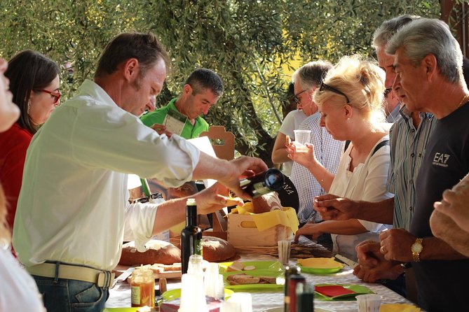 DA Abano and Montegrotto: Oil and Wine Tour of the Euganean Hills - Key points to know before booking