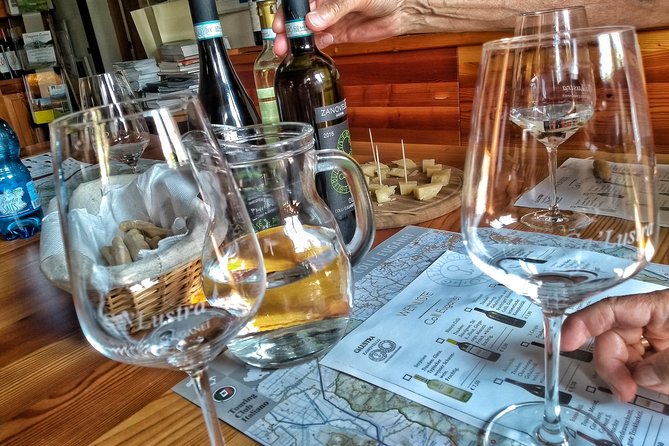 DA Abano and Montegrotto: Oil and Wine Tour of the Euganean Hills - Cantina Colli Euganei, wine with a view