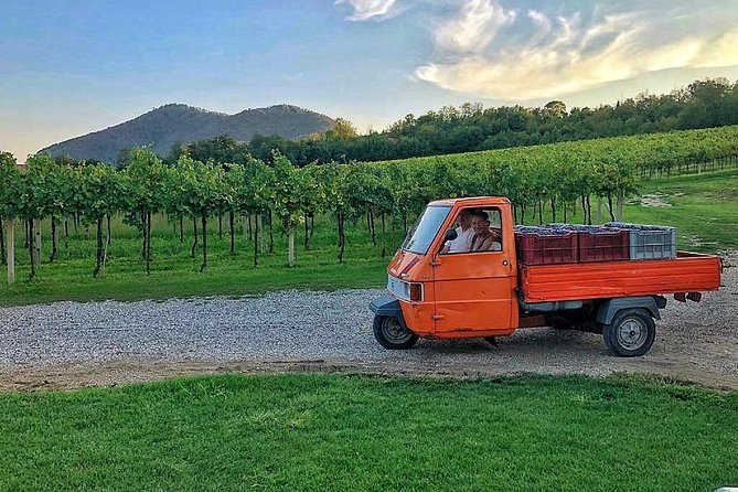 DA Abano and Montegrotto: Oil and Wine Tour of the Euganean Hills - Timing, pickup, and practical details