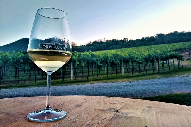 DA Padova: Wine tour in the Euganean Hills - The hills are the attraction, but the drive matters