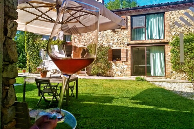 DA Padova: Wine tour in the Euganean Hills - Is the $192.47 price good value?