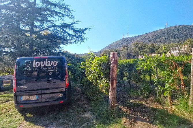 DA Padova: Wine tour in the Euganean Hills - Who will enjoy this most