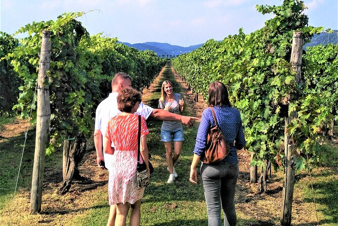 DA Padova: Wine tour in the Euganean Hills - Useful planning advice before you book
