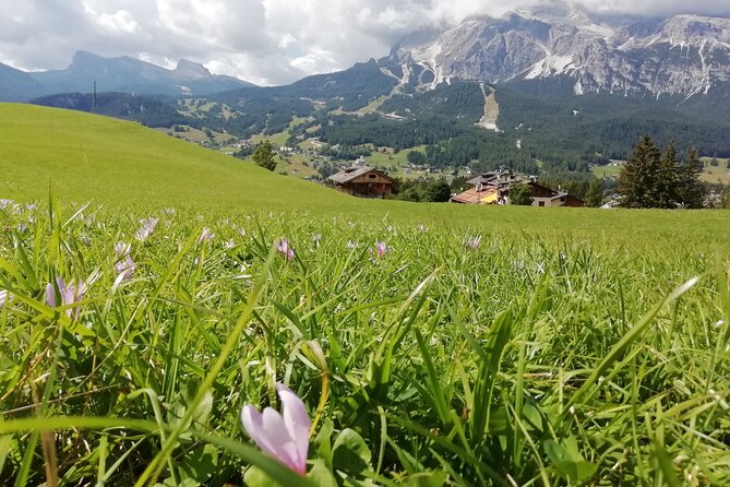 Discover the Dolomites, Cortina and Lake Braies from Venice - Is $223.82 a fair price?