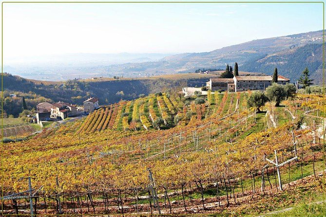Discover Valpolicella Vineyards and Wine Tasting Experience - Is the $84.69 price good value?
