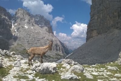 Dolomites Hiking tour