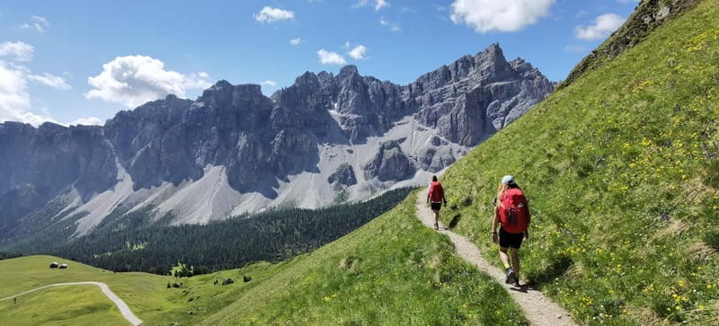 Dolomites of Bolzano: Hiking Experience with a local Guide - A practical look at the $215.24 price