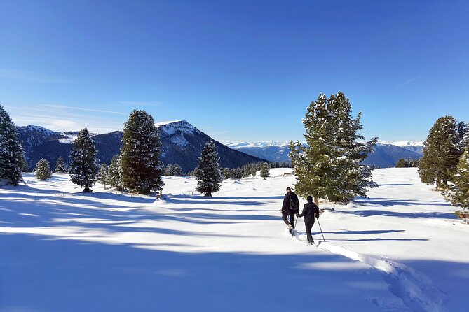 Dolomites of Cortina Winter Hiking & Sledding Experience - Why the private guide matters