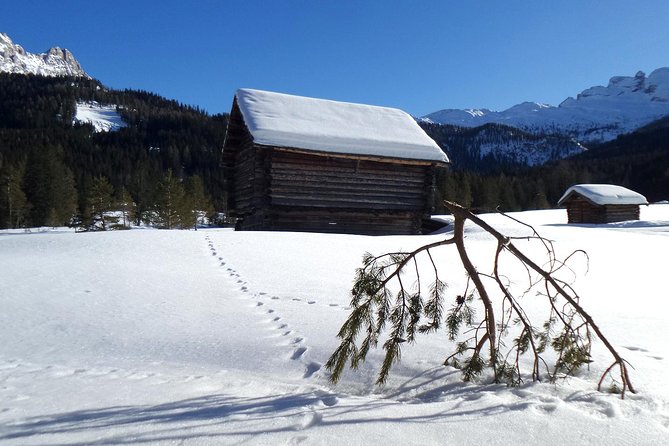 Dolomites of Cortina Winter Hiking & Sledding Experience - The sled ride is a playful, optional finish