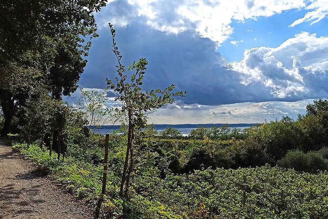 E-Bike Tour and Wine Tasting from Bardolino - Starting at Cantina Valetti in Bardolino
