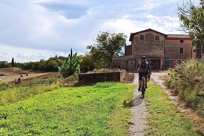 E-Bike Tour and Wine Tasting from Bardolino - The winery stop and Bardolino Chiaretto tasting