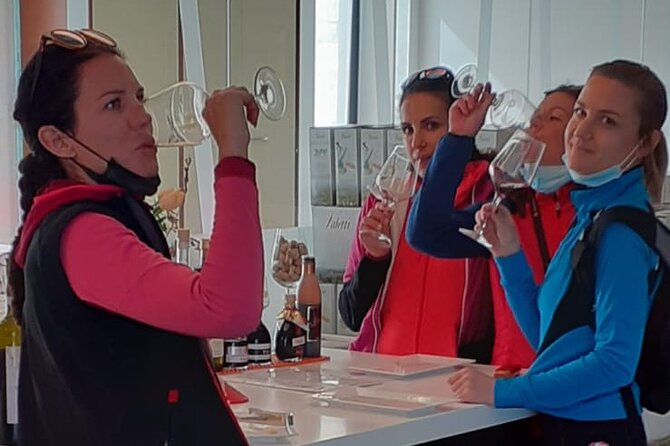 E-Bike tour with stop in the cellar in the Bardolino area - A bicycle morning in Bardolino wine country