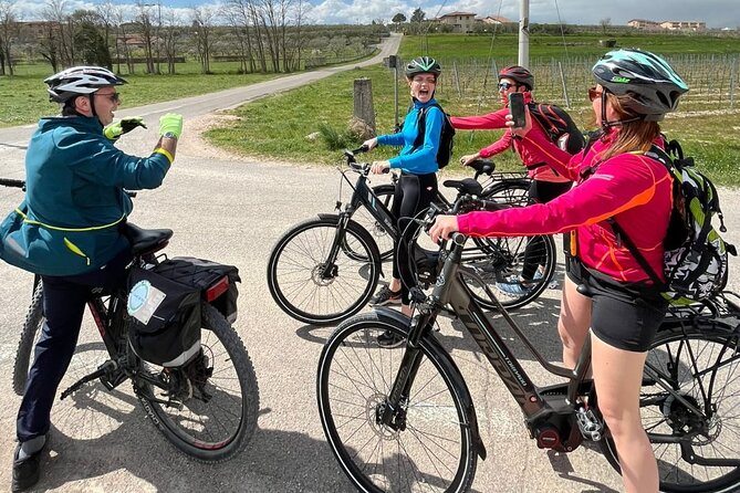 E-Bike tour with stop in the cellar in the Bardolino area - Cavaion Veronese: olive groves and open lake views