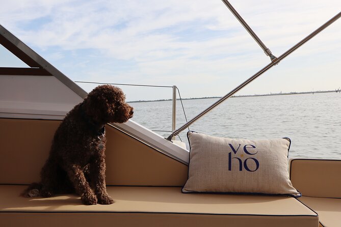Enjoy the lagoon - 3-hour private tour - Who will enjoy this boat ride most?