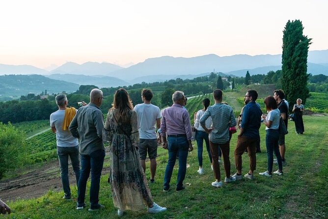 Exclusive Tour of the Vineyards with Visit to the Cellar! - How the two-hour schedule works