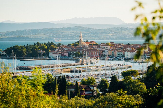 Experience Slovenian Coast line with Wine Tasting from Trieste - Marezige and the Wine Tasting