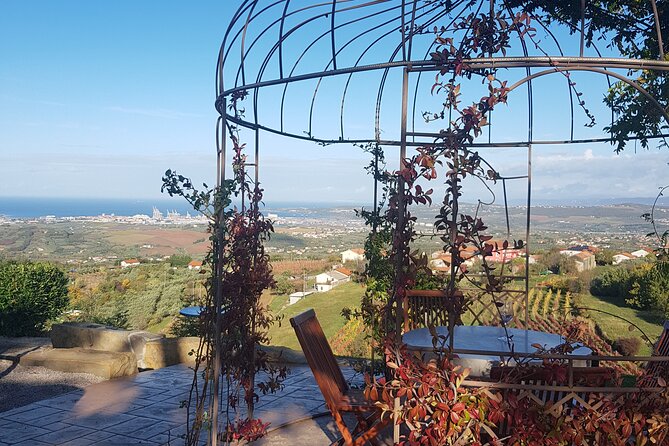 Experience Slovenian Coast line with Wine Tasting from Trieste - Who Will Get the Most from This Day