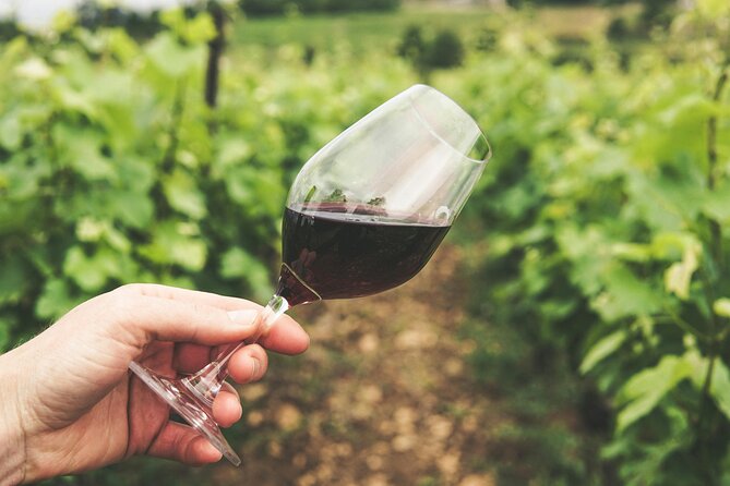 Experience Slovenian Coast line with Wine Tasting from Trieste - Piran, the Day’s Main Coastal Walk