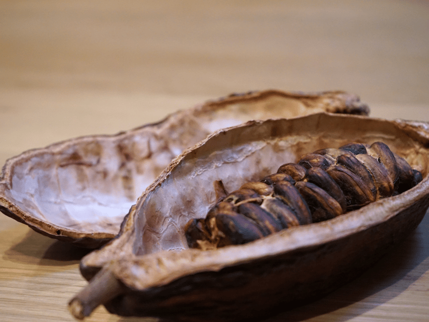 Fine Chocolate Tasting in Turin - Why Turin is such a good place for a chocolate tasting