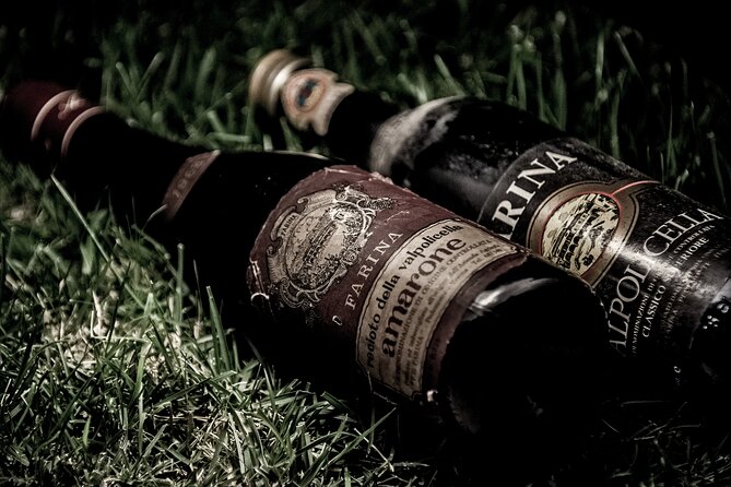 Food and Wine Tasting in Valpolicella - The guide makes the difference