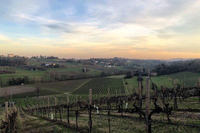 Food and Wine Tour on the Prosecco Hills from Venice - From Venice to the Prosecco hills