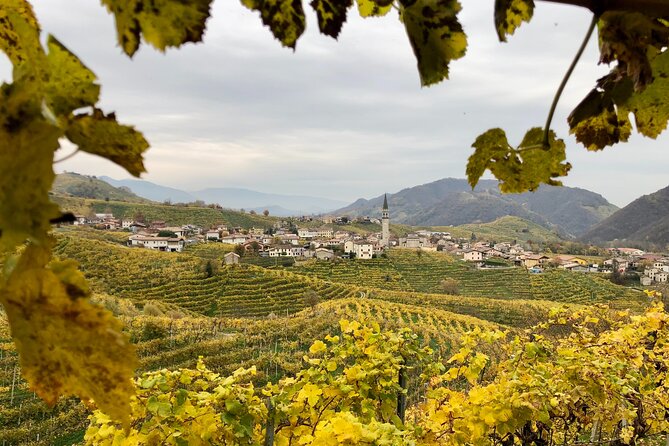 Food and Wine Tour on the Prosecco Hills from Venice - Cartizze: the celebrated hill
