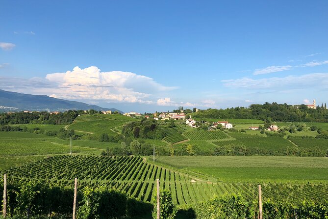 Food and Wine Tour on the Prosecco Hills from Venice - A family winery and Veneto-style snacks