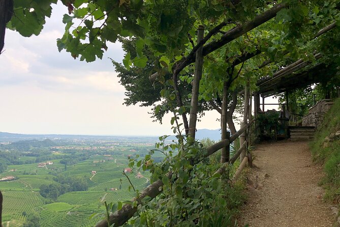 Food and Wine Tour on the Prosecco Hills from Venice - Lunch at an agriturismo