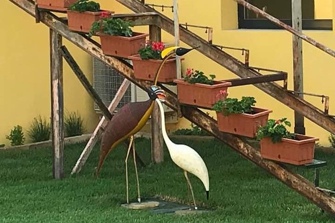 FriendInVenice Murano Burano Torcello Private Tour By Luxury Boat - Why the private boat changes the day