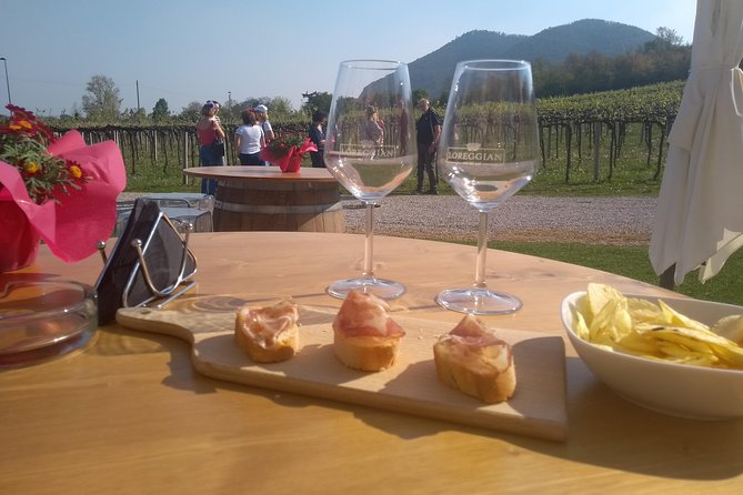 From Padua: Olive Oil & Wine in the Euganean Hills - Leaving Padua for the Euganean Hills