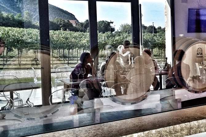 From Padua: Olive Oil & Wine in the Euganean Hills - Olive oil at EVO del Borgo in Arquà Petrarca