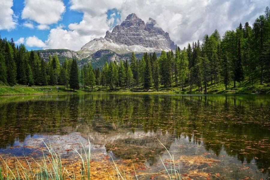 From Venice: Dolomites Day Trip - Pieve di Cadore and the first mountain views