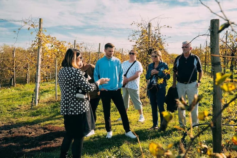 From Venice: Prosecco Hills and Wine Tasting Tour - Meeting at Piazzale Roma