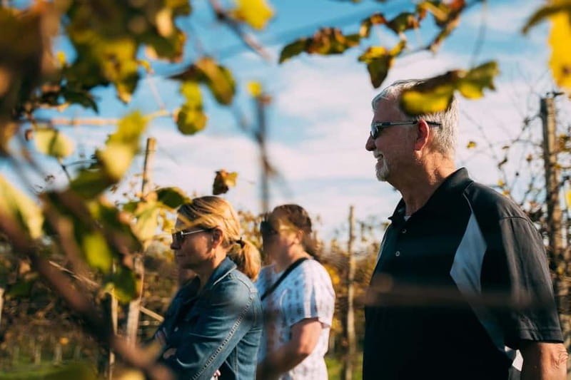 From Venice: Prosecco Hills and Wine Tasting Tour - What the food adds to the day