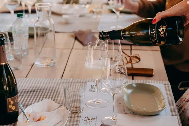From Venice: Prosecco Hills and Wine Tasting Tour - Who will get the most from this tour?