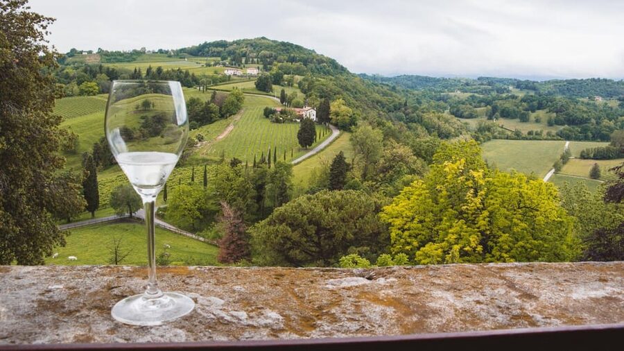 From Venice: Wine and Food tour in the Prosecco Hills - Farra di Soligo and the family winery visit